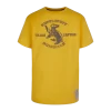 Warner Bros Kids Hufflepuff Quidditch Team Captain T-Shirt -Warner Bros 1275729 1