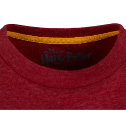 Warner Bros Kids Gryffindor Quidditch Team Captain T-Shirt -Warner Bros 1275734 3