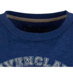 Warner Bros Kids Ravenclaw Quidditch Team Captain T-Shirt -Warner Bros 1275739 3