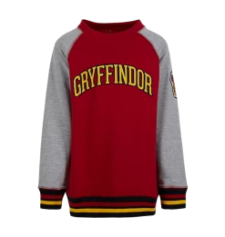 Warner Bros Kids Gryffindor Sweatshirt