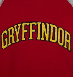 Warner Bros Kids Gryffindor Sweatshirt -Warner Bros 1329375 4