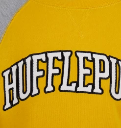 Warner Bros Kids Hufflepuff Sweatshirt -Warner Bros 1329397 4