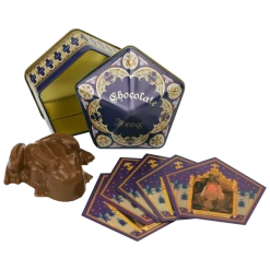 Warner Bros Chocolate Frog Souvenir Tin