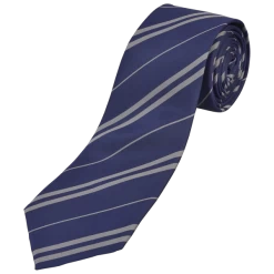 Warner Bros Authentic Ravenclaw Tie