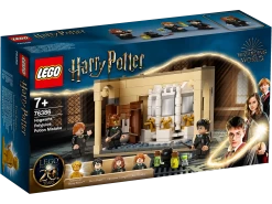 Warner Bros Hogwarts Polyjuice Potion Mistake LEGO