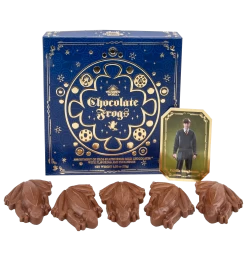 Warner Bros Harry Potter Bear And Chocolate Frog Box -Warner Bros ChocFrogSelectionBox