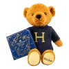 Warner Bros Harry Potter Bear And Chocolate Frog Box -Warner Bros HarryPotterHBear1