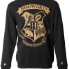 Warner Bros Hogwarts Striped Sleeve Sweatshirt -Warner Bros HogwartsSweatshirt 486924e9 d10c 4ee2 9331 815515cc3ff1