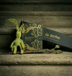 Warner Bros Fantastic Beasts & Where To Find Them Journal -Warner Bros Journals FBeasts3