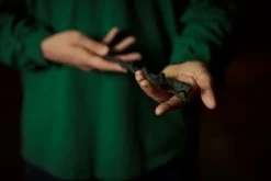 Warner Bros The Slytherin Mascot Wand -Warner Bros Optimized WBST HPNY 14.09.20 hires 3x2 1677