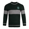 Warner Bros Slytherin Quidditch Jumper -Warner Bros PL00010105 1