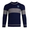 Warner Bros Ravenclaw Quidditch Jumper -Warner Bros PL00010106 1