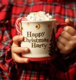 Warner Bros Harry Potter Christmas Mug -Warner Bros XMAS23 Lifestyle Mugs Harry1