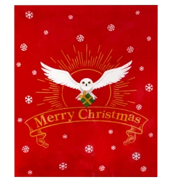 Warner Bros Hedwig Christmas Blanket