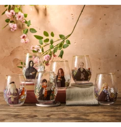 Warner Bros Yume Students And Professors Glass Gift Set