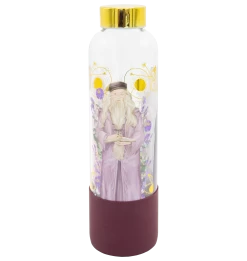 Warner Bros Yume Professors Glass Bottle