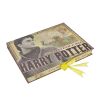Warner Bros Harry Potter Artefact Box 1 Warner Bros Harry Potter Artefact Box -Warner Bros filmartifactbox