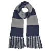 Warner Bros Ravenclaw Broad Stripe Scarf -Warner Bros ravescarf