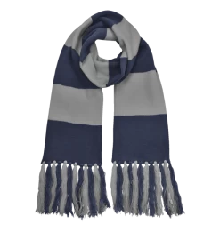 Warner Bros Ravenclaw Broad Stripe Scarf